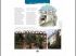 Photos et dessins se m�lent