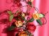 Bouquet multicolore