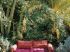 Canap� color�