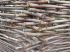 D�tail du tressage de la cabane