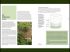 Les diff�rentes terres