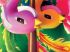 Oiseaux