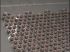 Grow.1 expos� au MoMA