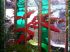 D�tail du jardin