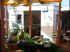 �lot de verdure