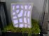 Tabouret lumineux