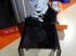 Chaise Baudelaire