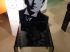 Chaise Wilde