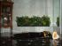 Verdure dans la salle de bain