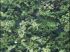 Un r�sultat naturel
