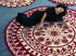 Tapis