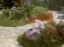 Atelier Concept Paysage : Un jardin ouvert