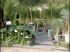 D'un jardin � l'autre : le jardin d�polluant