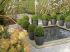 Jard�co : Le jardin des quatre saisons