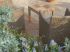 Lepaon Jardins Parcs : le jardin de la convivialit�