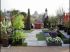 Les jardins de Villebois : � la fois jardin et terrasse