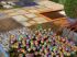 Vert Passion : Simplicit� et couleurs