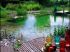 Piscine naturelle
