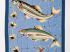 Motif : poissons