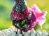 Motif : poule