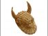 Motif : taureau