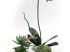 Ikebana