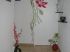 Motif floral