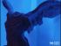 Mus�e National