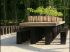 Forest Table