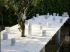 Le jardin qu'on mange