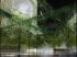 Int�rieur vert