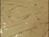 Mousse PVC adh�sive