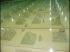 Porcelaine fin 19�me/d�but 20�me Si�cles