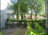 Vue des jardins depuis l'�glise