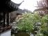 Suzhou