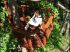 Terrasse perch�e