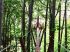Passerelle pour atteindre la cabane