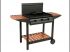 Grill et plancha