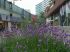 Centre pi�ton
