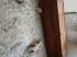 D�tail chambre