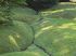 Jardin en Normandie
