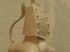 Commode-antilope