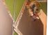 Mise en sc�ne
