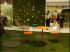 Lounge 3/3