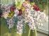 Fleurs pour bouquet
