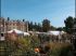 Le festival