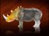 Rhinoc�ros