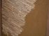 Enduit � base d'anas de lin