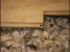 Isolation sous plancher