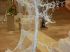 Sapin de Christophe Josse